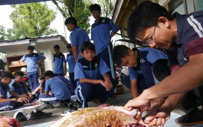 Siswa Antusias Belajar Makna Berqurban Lewat Pengalaman Nyata